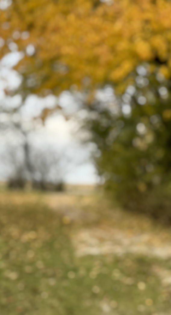 Bildschirmfoto 2025-12-04 um 23.45.10